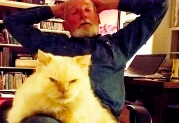The Cat.jpg